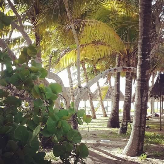 Hotel San Felipe De Jesus Yucatan Extérieur photo